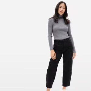 Everlane Canvas Arc Pant - Size 10 NWT